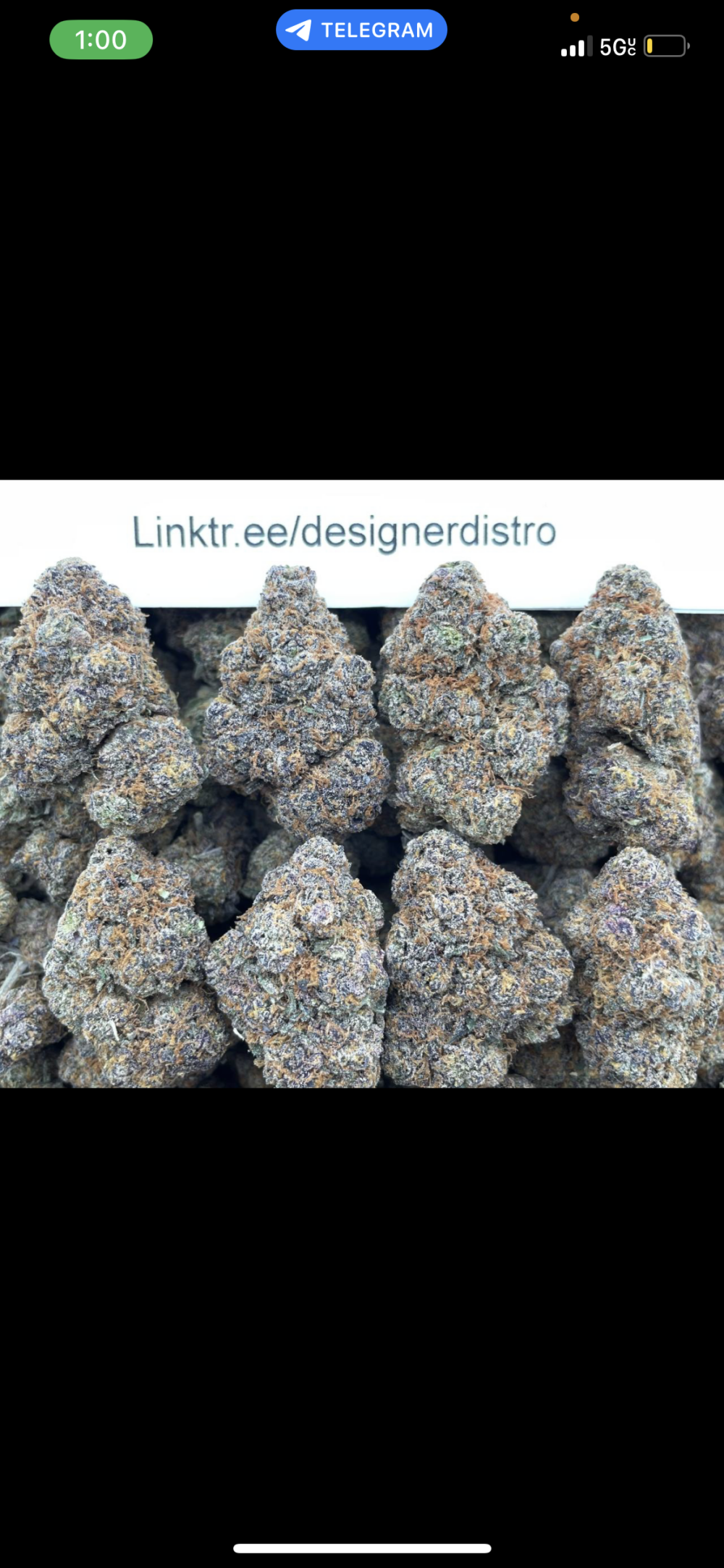 Akdogshit