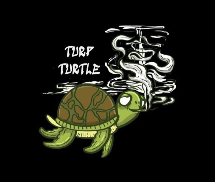 TurpTurtle