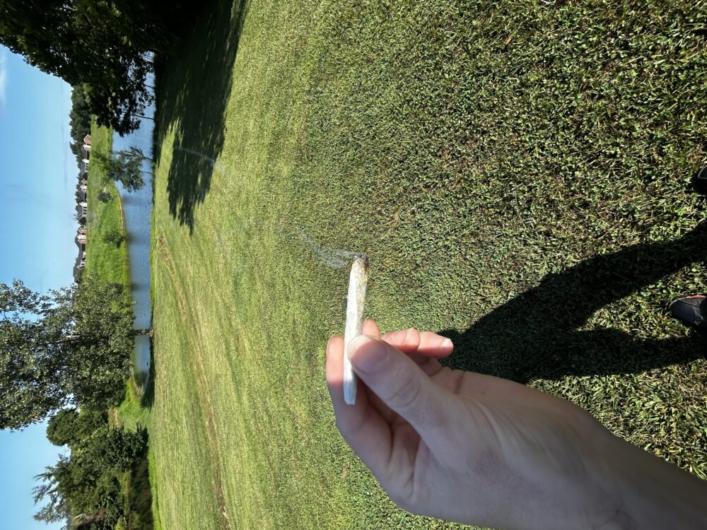 Shagggydakid