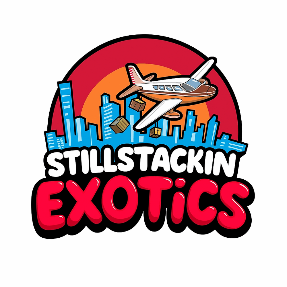 @STACKS24hr