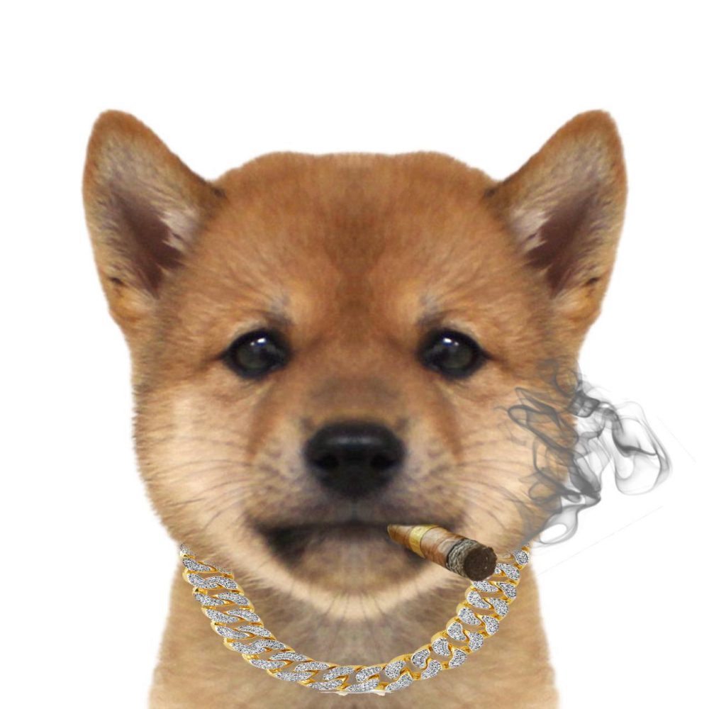 Ceo_Stavo