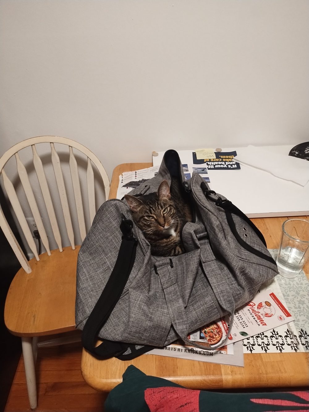 DanteSushi